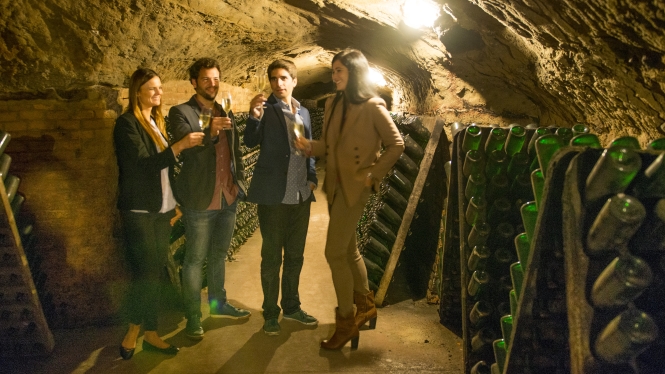 Visitas a bodegas